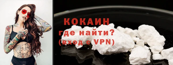 бошки Новодвинск