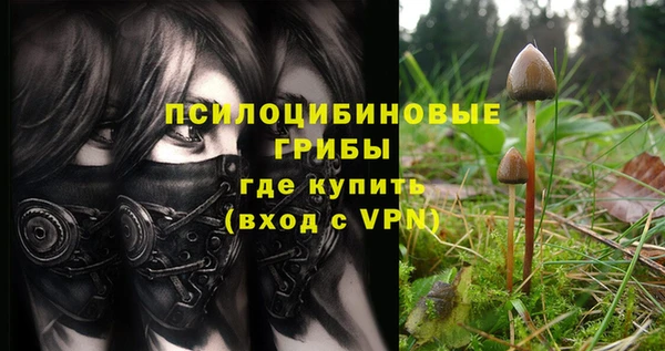 ECSTASY Нягань