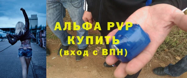бошки Новодвинск