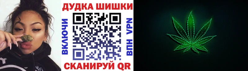площадка состав  Райчихинск  Бошки марихуана конопля 